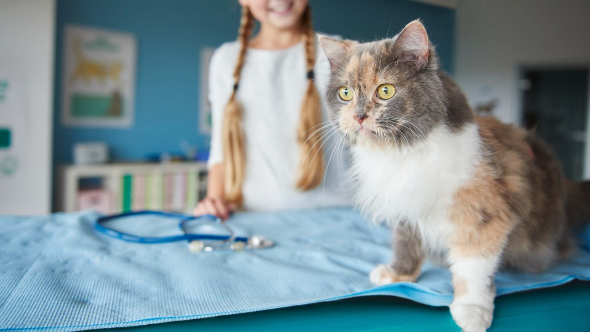 Specialty Referrals In Gilbert, SC 29054 Lake Murray Animal Hospital